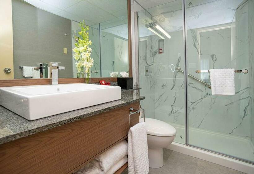 Номер Deluxe с Балконом, Best Western Premier Chateau Granville Hotel & Suites & Conference Centre