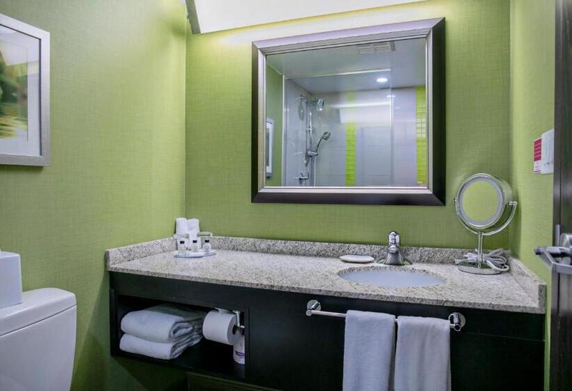 Номер Стандарт Кровать Кинг Адаптированный для Инвалидов, Crowne Plaza Kitchener Waterloo, An Ihg