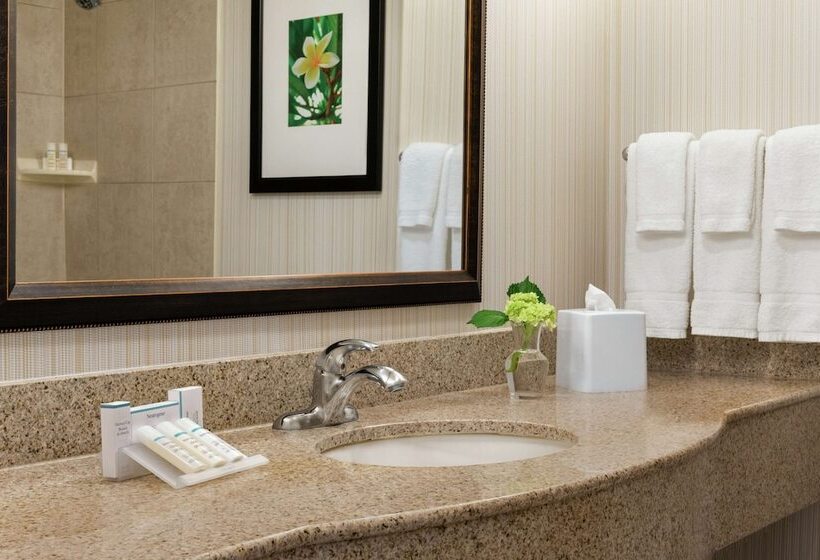 带2个双人床的标准工作室, Hilton Garden Inn Saskatoon Downtown