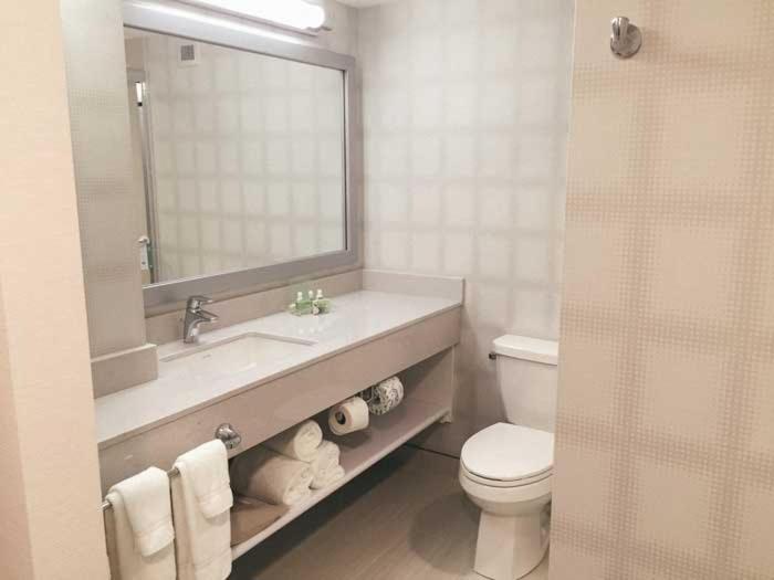 キングサイズベッドのスタンダードルーム, Holiday Inn Winnipeg   Airport West, An Ihg