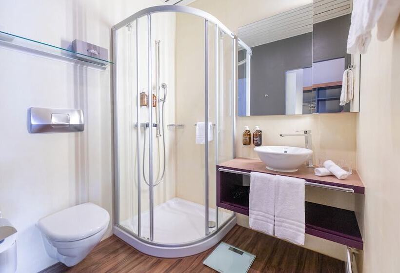 غرفة أساسية, Parkhotel Brenscino Brissago