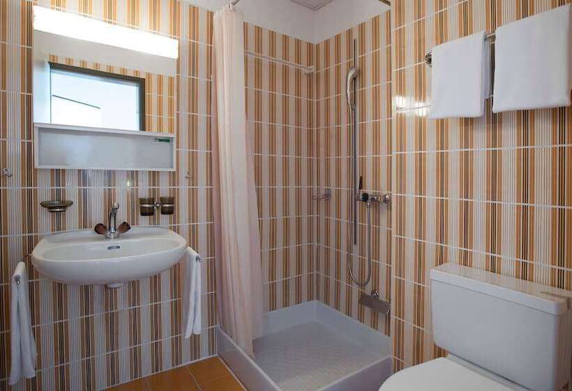 غرفة أساسية, Parkhotel Brenscino Brissago