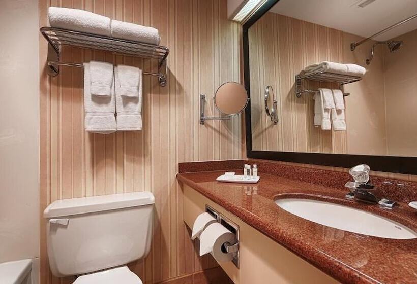 Номер Deluxe, The Roehampton