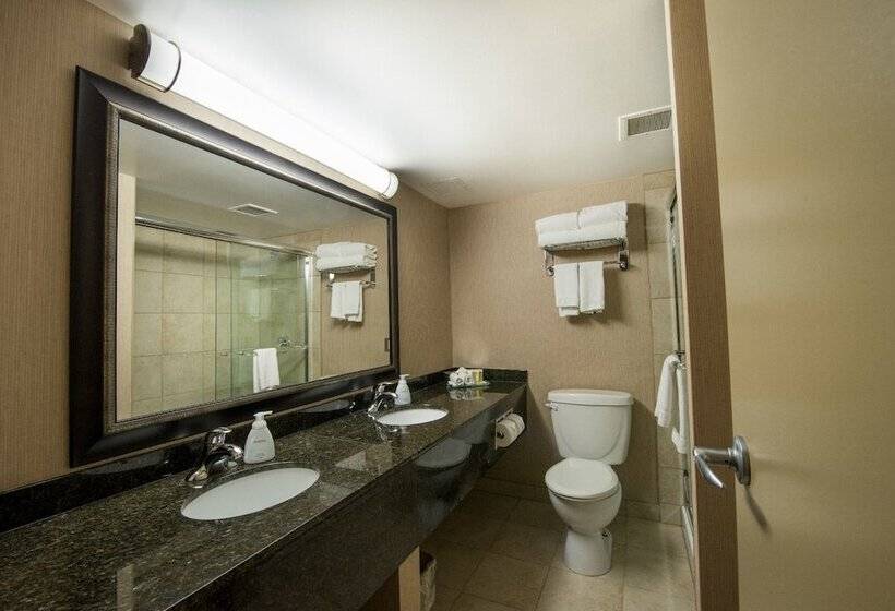 Полулюкс, Superior Inn Hotel And Conference Centre Thunder Bay