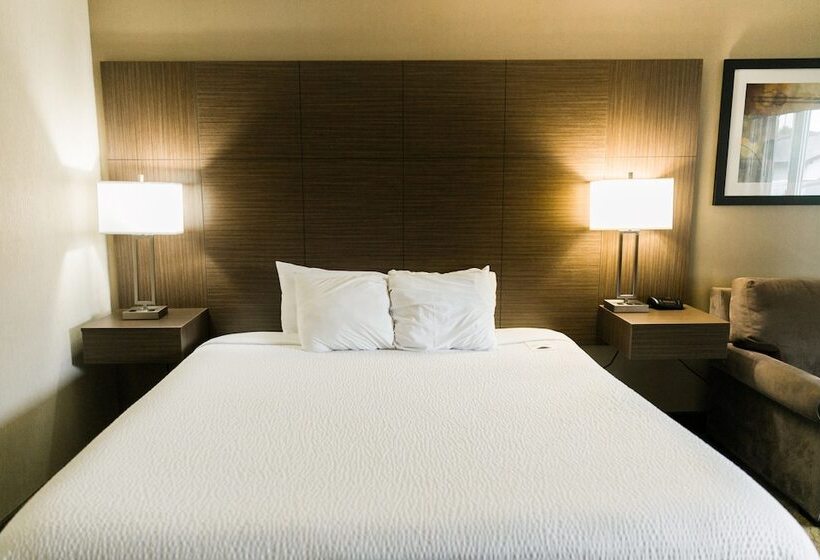 Полулюкс, Superior Inn Hotel And Conference Centre Thunder Bay