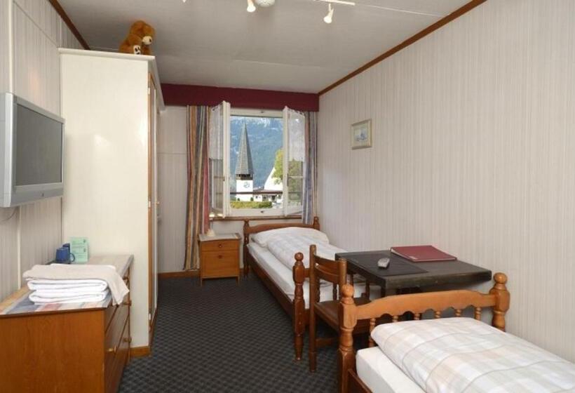 اتاق استاندارد با سرویس بهداشتی مشترک, Swiss Lodge Hotel Bernerhof Wengen