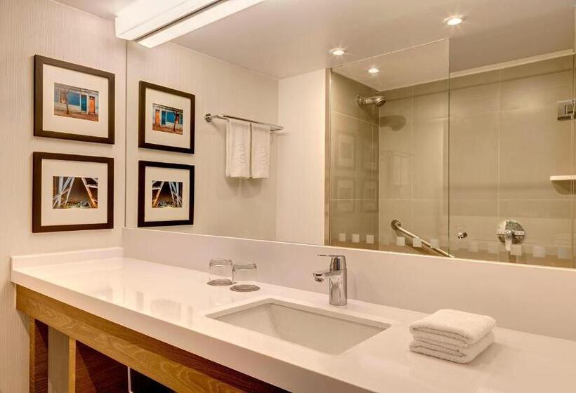 اتاق کلاسیک با چشم‌انداز شهر, Sheraton Santiago Hotel & Convention Center