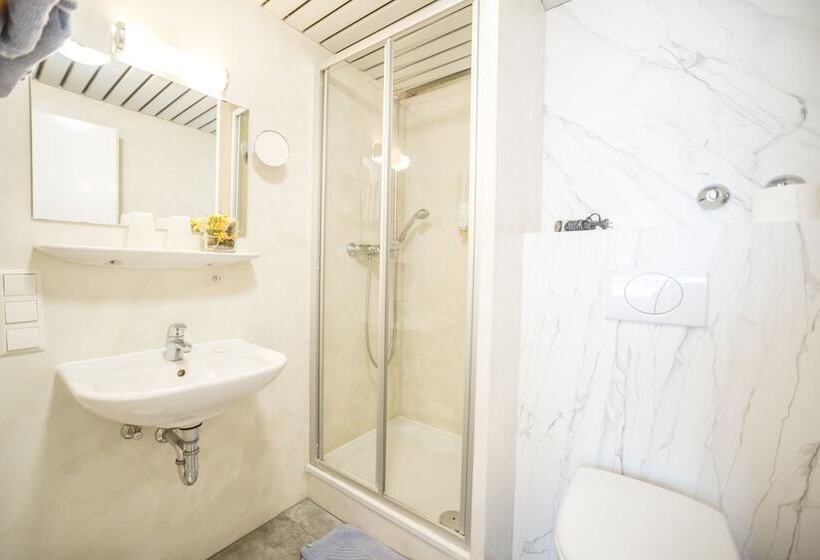 Номер Стандарт, Tiptop Hotel Garni Pfauen