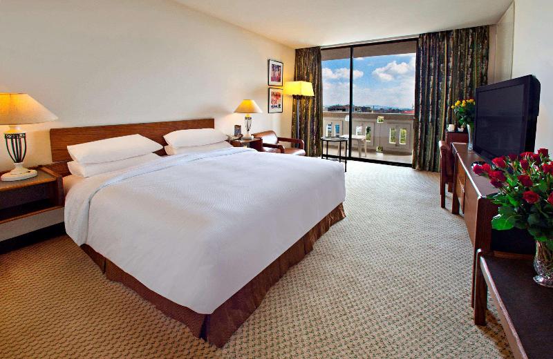 سوییت دوبلکس, Hilton Addis Ababa