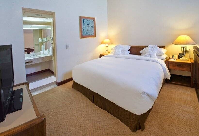 اتاق اجرایی, Hilton Addis Ababa