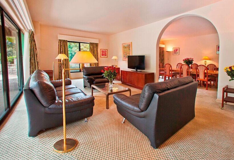آپارتمان 2 خوابه, Hilton Addis Ababa
