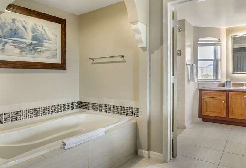 آپارتمان 2 خوابه, Hilton Addis Ababa