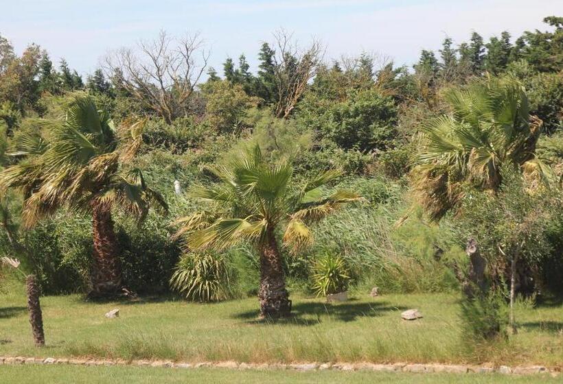 اتاق کلاسیک, Clamador