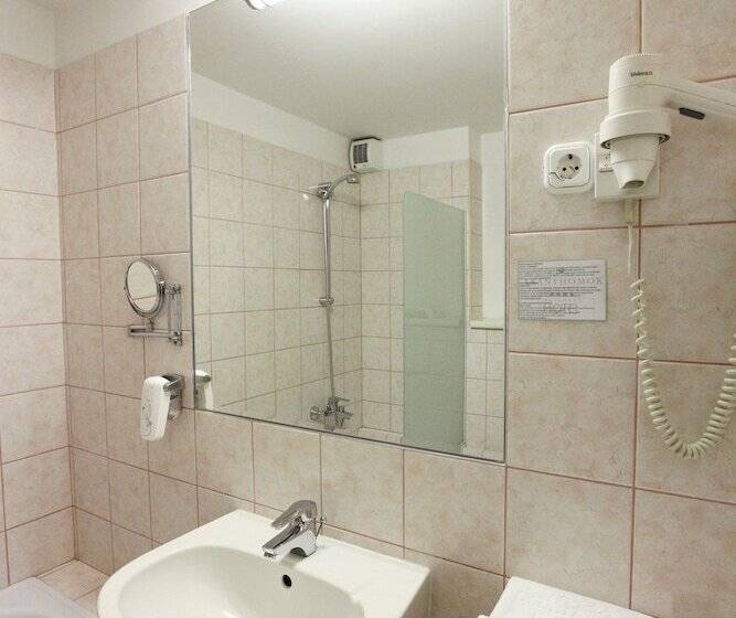 اتاق سوپریور, Aranyhomok Business City Wellness