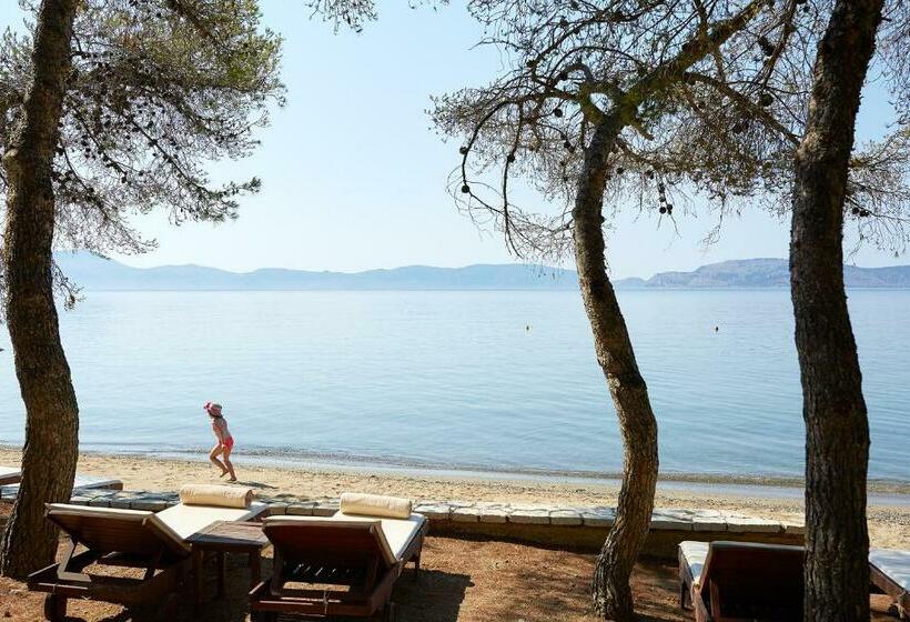 اتاق لوکس, Barceló Hydra Beach