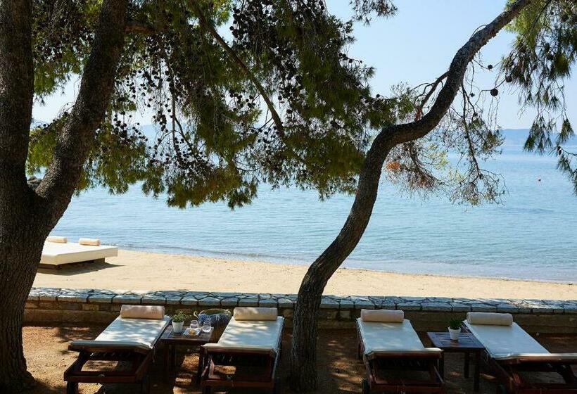 اتاق لوکس, Barceló Hydra Beach
