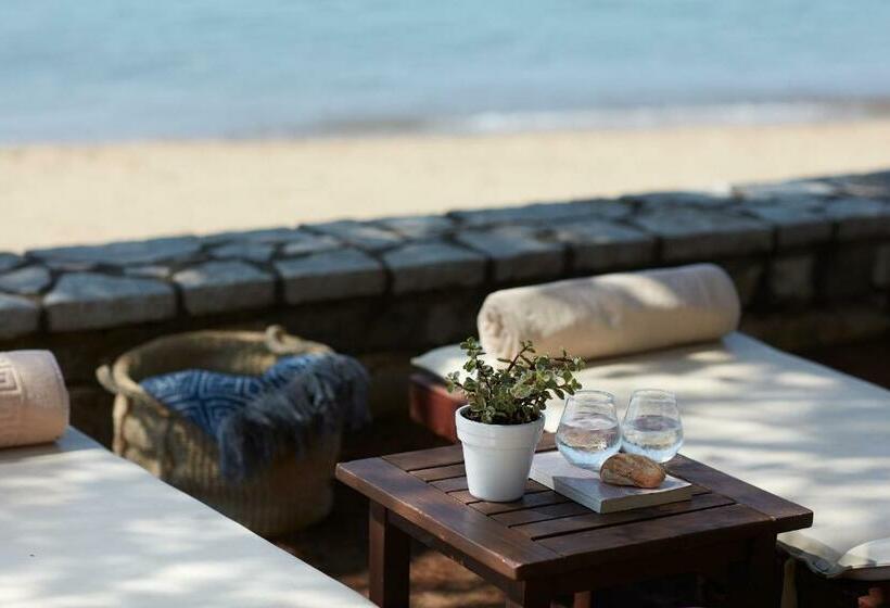 اتاق لوکس, Barceló Hydra Beach