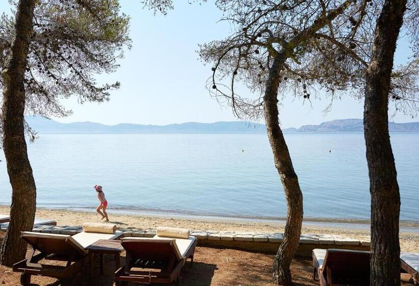 اتاق لوکس با چشم‌انداز دریا, Barceló Hydra Beach