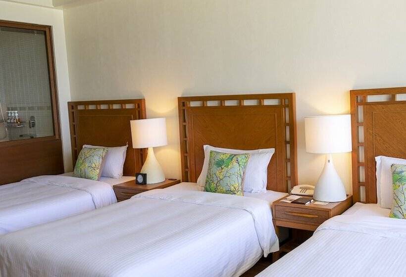 اتاق لوکس با چشم‌انداز دریا, The Moon Beach Museum Resort