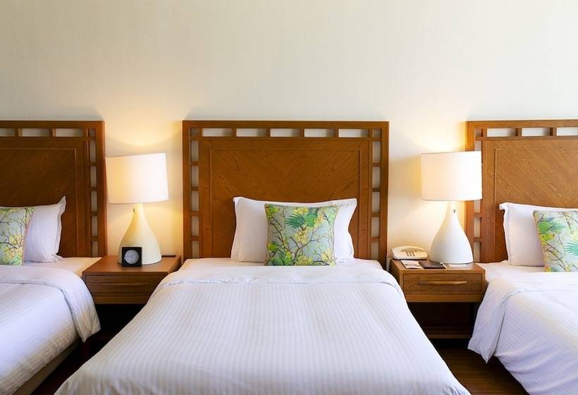 اتاق لوکس با چشم‌انداز دریا, The Moon Beach Museum Resort