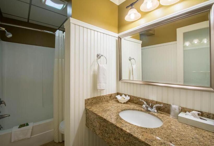 اتاق استاندارد با تخت بزرگ, Anchorage Inn And Suites