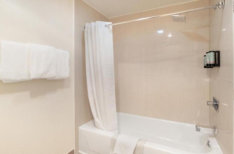 Номер Стандарт 2 Двуспальные Кровати, Best Western Amador Inn