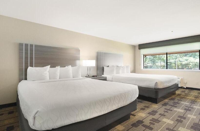 Номер Стандарт, Best Western Amador Inn