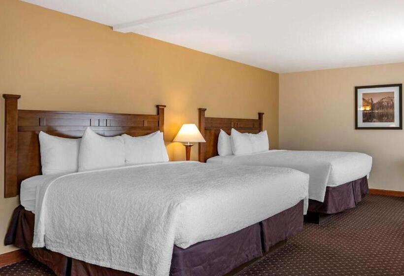 Номер Стандарт Адаптированный для Инвалидов, Best Western Desert Inn
