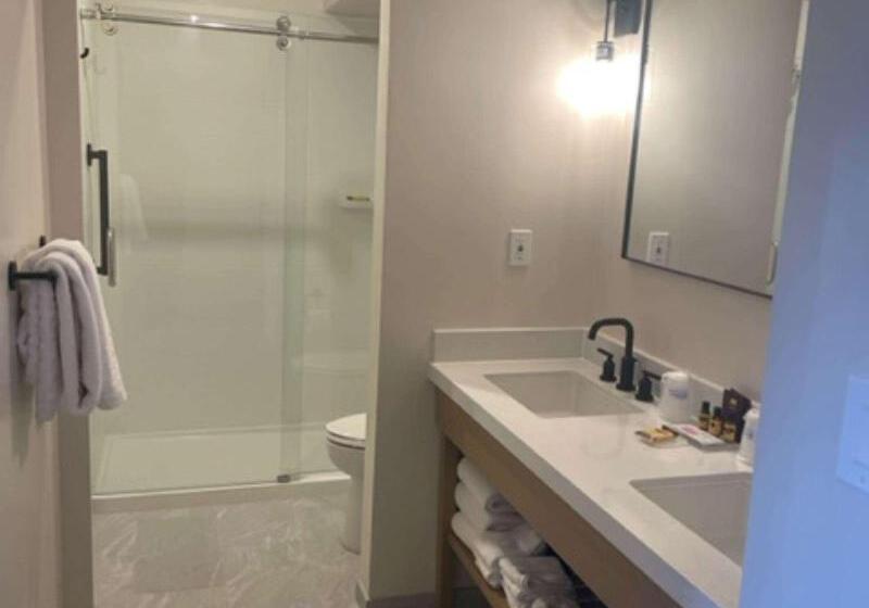 스탠다드 룸 킹사이즈 침대, Best Western Plus Inn At The Vines