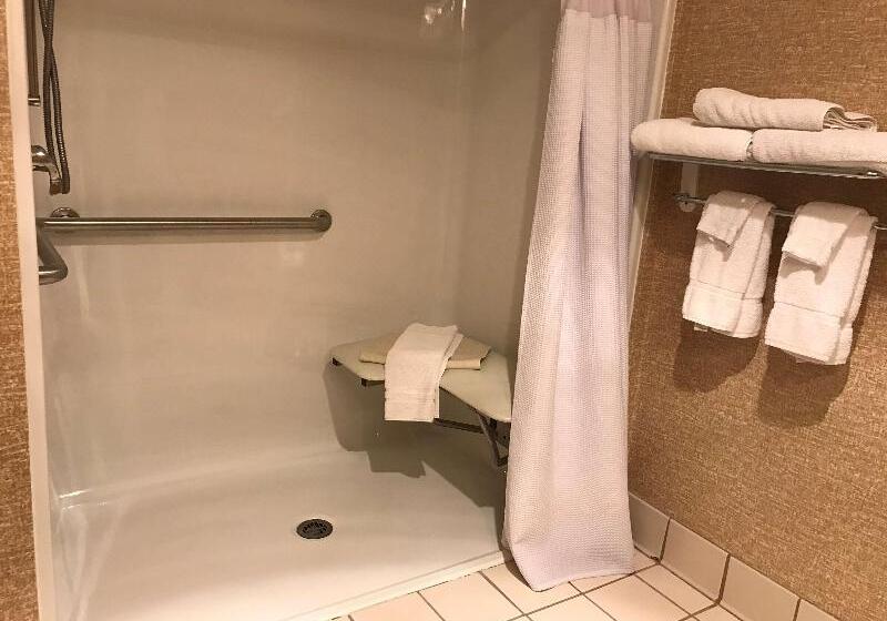 스탠다드 룸 킹사이즈 침대, Best Western Plus Revere Inn & Suites