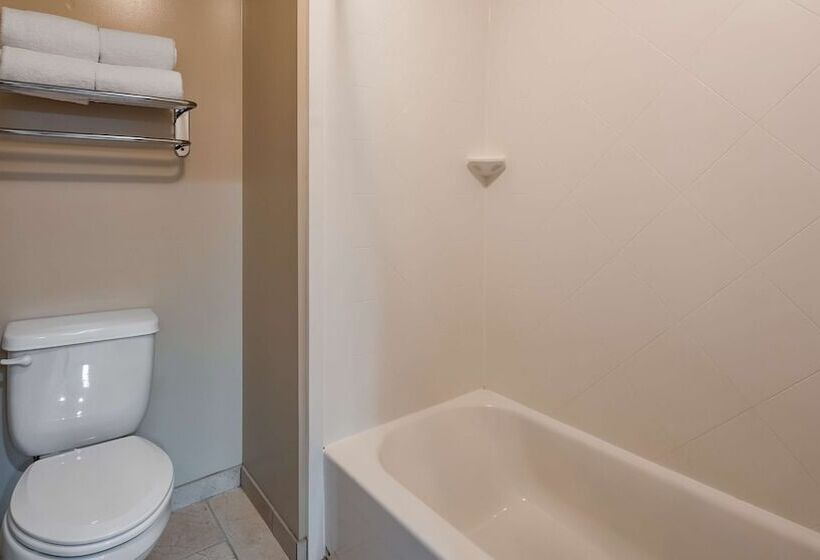 Номер Стандарт 2 Двуспальные Кровати, Best Western River Terrace
