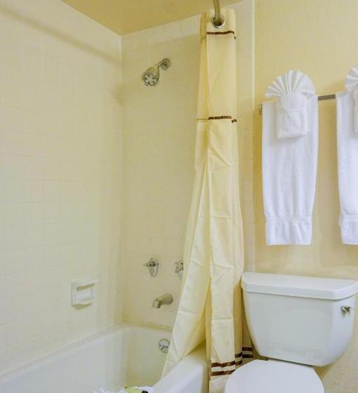 StandaardKamer, Castle Inn And Suites Anaheim