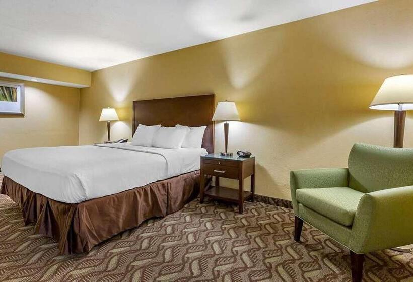 Стандартный Номер Кровать Кинг, Clarion Inn & Suites