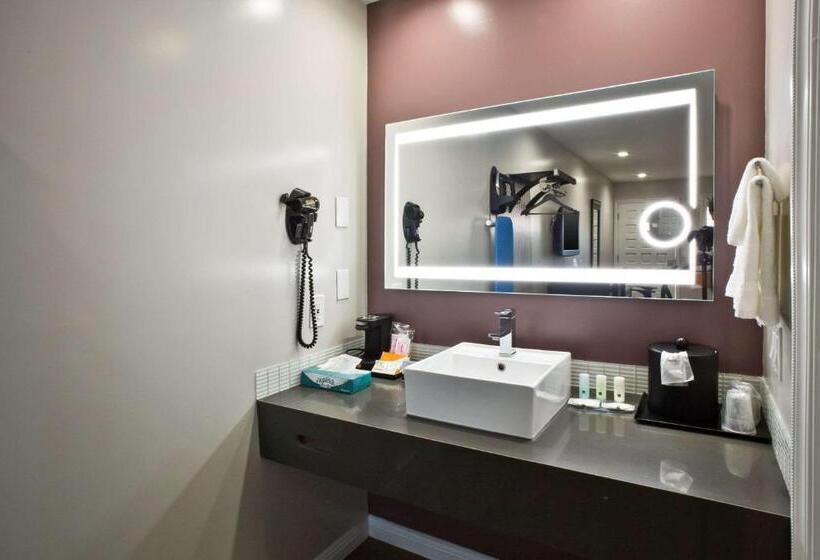 스탠다드 룸 킹사이즈 침대, Quality Inn Hayward