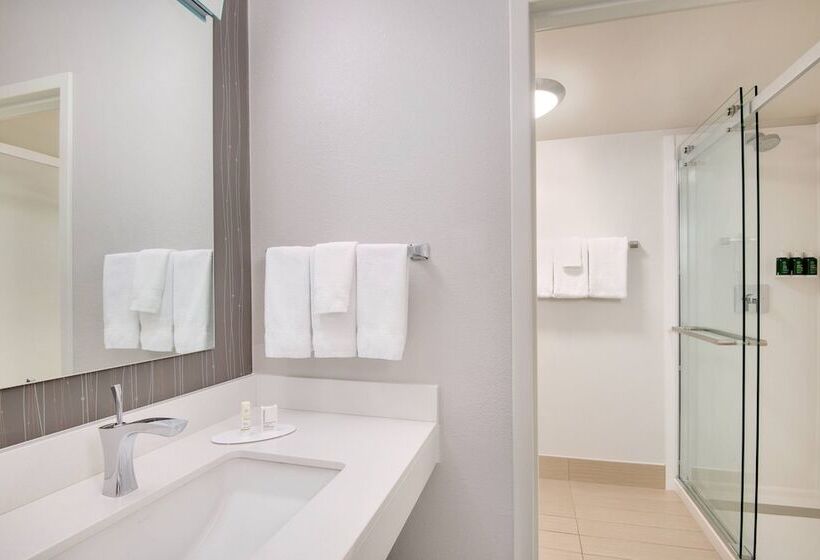 Suite, Courtyard By Marriott Birmingham Homewood