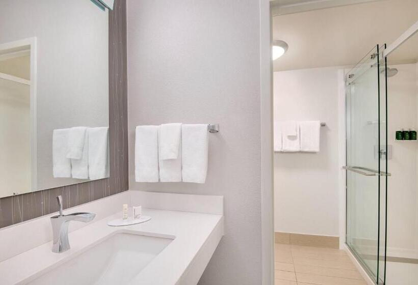 Suite, Courtyard By Marriott Birmingham Homewood