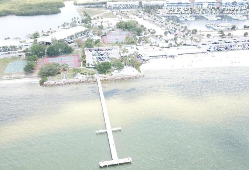 Апартаменты 1 Спальня Вид на Бассейн, Tampa Bay, Beach Step Away, Wifi, Free Parking,pools, Jacuzzi