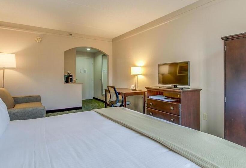 اتاق استاندارد با تخت بزرگ, Holiday Inn Express Richmond   Midlothian Turnpike By Ihg
