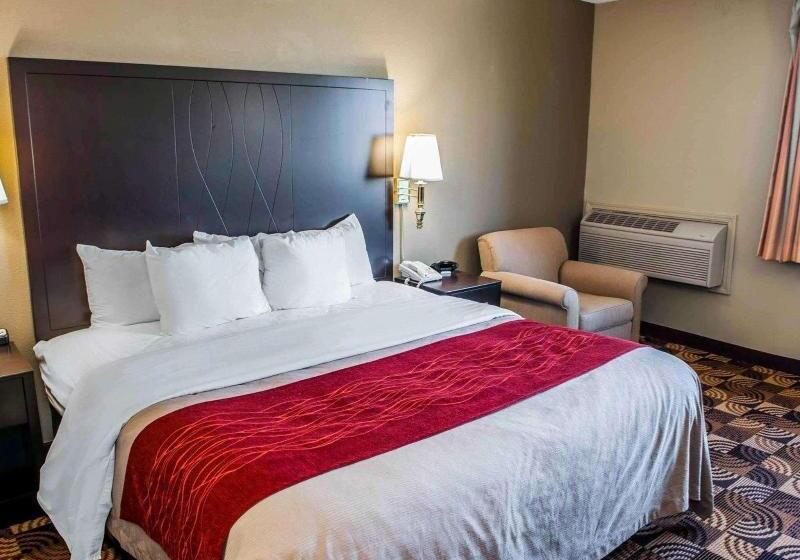 Standaardkamer met Kingsize Bed, Comfort Inn & Suites North At The Pyramids