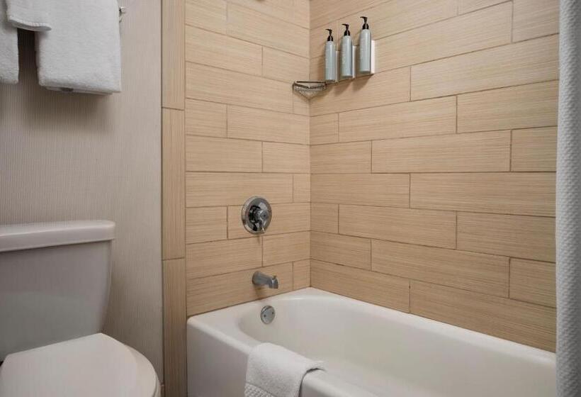 Номер Стандарт 2 Двуспальные Кровати, Courtyard By Marriott Santa Rosa