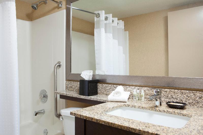 اتاق اجرایی با تخت بزرگ, Holiday Inn Hotel & Suites Des Moines Northwest, An Ihg