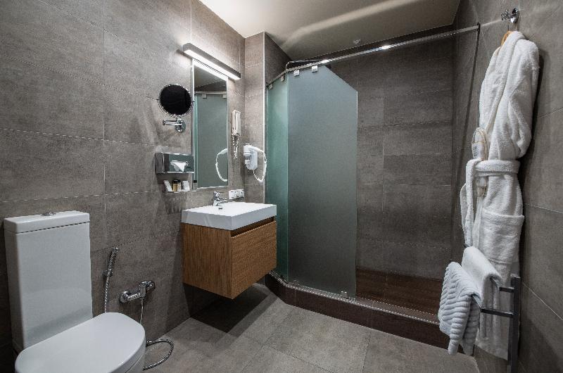 اتاق استاندارد با تخت بزرگ برای معلولان, Holiday Inn Hotel & Suites Des Moines Northwest, An Ihg