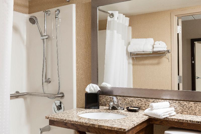 سوئیت با تخت بزرگ, Holiday Inn Hotel & Suites Des Moines Northwest, An Ihg