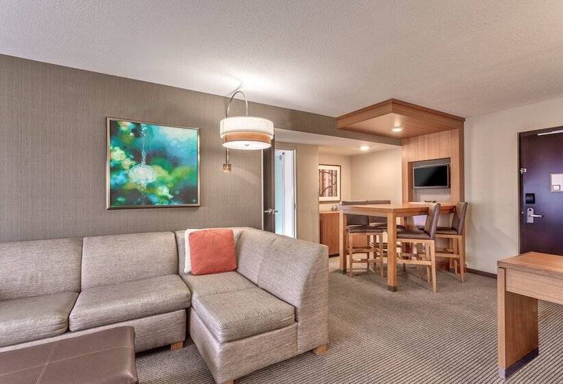 스위트, Hyatt Place Minneapolis/downtown