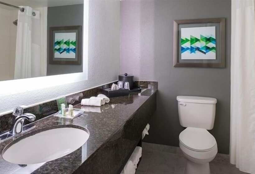 스탠다드 룸, Holiday Inn Hotel And Suites Beaumont Plaza I 10 & Walden, An Ihg