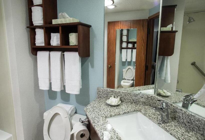 اتاق استاندارد, The Hotel At Dayton South