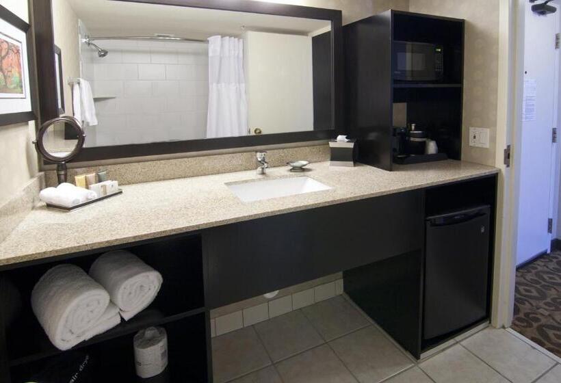 장애인을 위한 퀸사이즈 스탠다드 룸, Wyndham Minneapolis South Burnsville