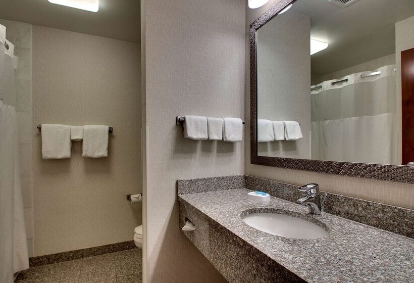 Люкс, Drury Inn & Suites Findlay