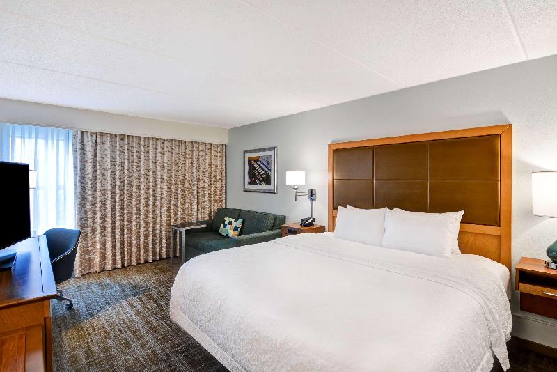 Студио Стандарт Кровать Кинг, Hampton Inn Albanywolf Road