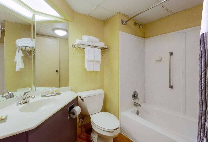 اتاق لوکس, Clt Airport Inn & Suites